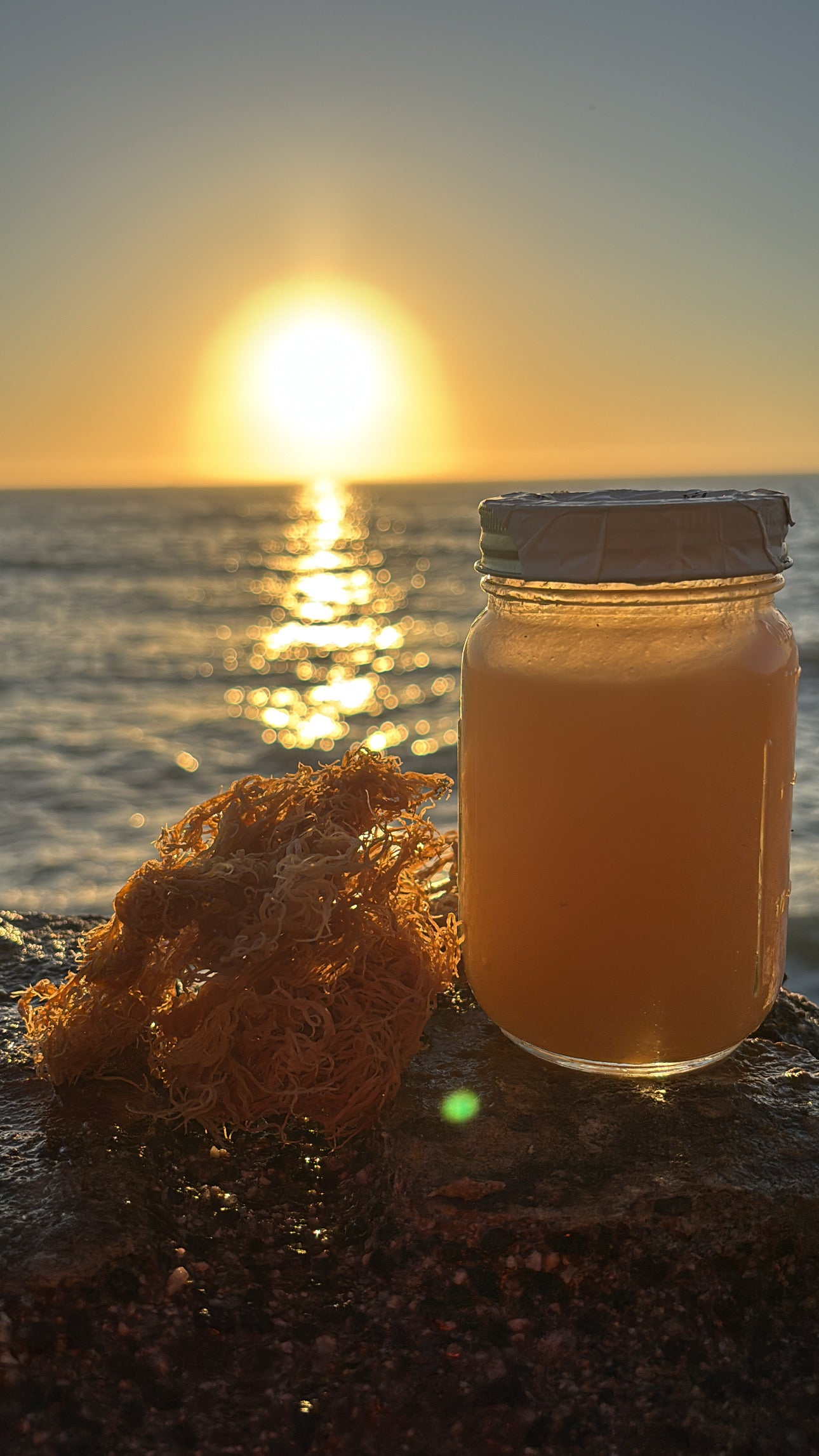 Organic Sea Moss Gel