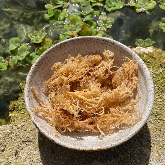 Raw Seamoss